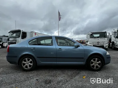 Personbil Skoda Octavia 1.6 MPI Multifuel Manual | 102hp -2007