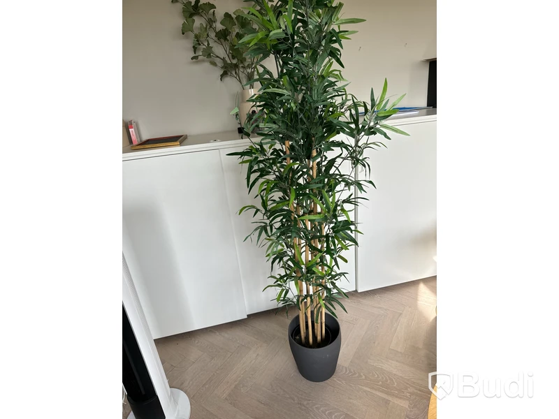 Plastblomma