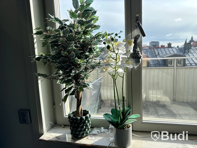 Parti med inredningsdetaljer
