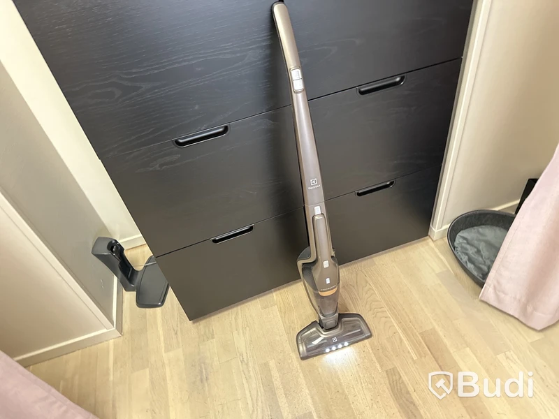 Electrolux dammsugare ERGO RAPIDO