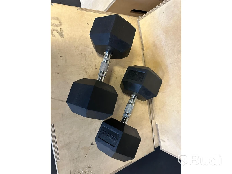 2 st XF Dumbbell - Eleiko 22,5 kg