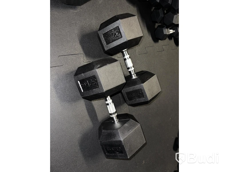 2 st XF Dumbbell - Eleiko 32 kg