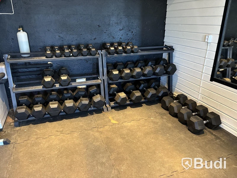 Hantelställ med hantlar 4-50 kg