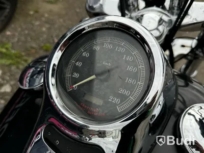 Motorcykel Harley-Davidson FXSTD -2002 | Reparationsobjekt