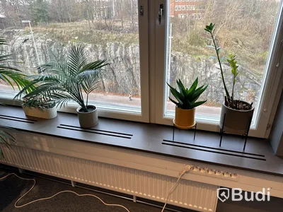 Part med plastväxter
