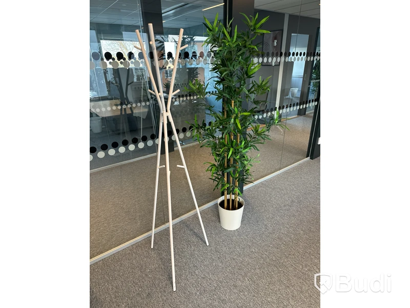 Tamburmajor och plastväxt