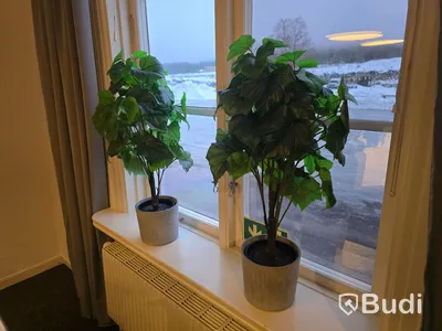 Helt kontor med kontorsplatser, matsalsmöbel, kaffemaskin, mm