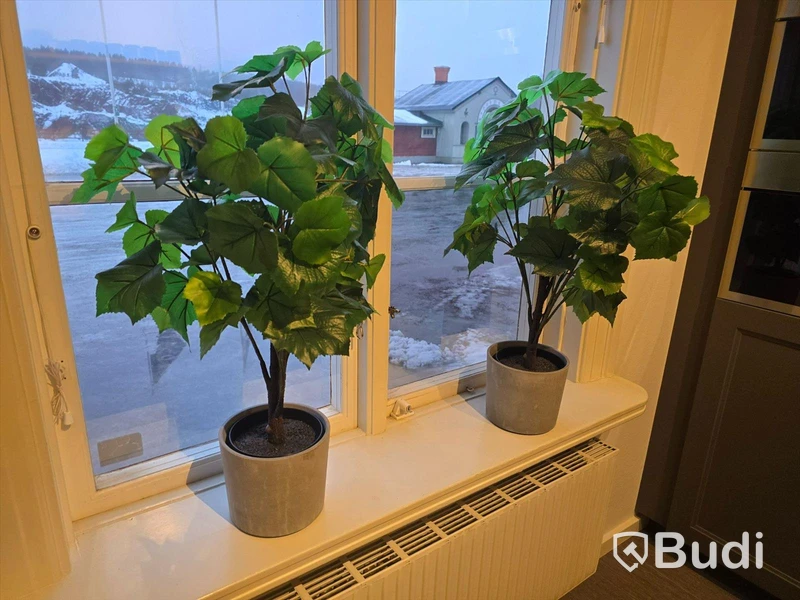 Helt kontor med kontorsplatser, matsalsmöbel, kaffemaskin, mm