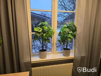 Helt kontor med kontorsplatser, matsalsmöbel, kaffemaskin, mm