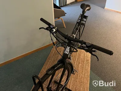 Herrcykel Serneke