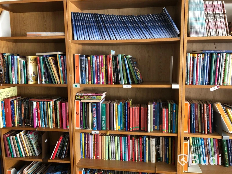 Skolbiblioteks material/ böcker