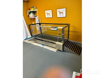 Smartwalker Pro