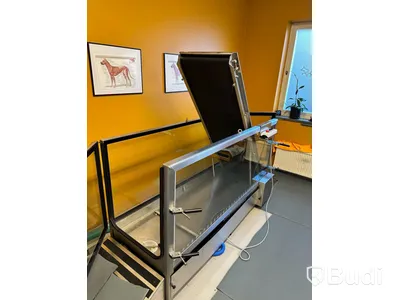 Smartwalker Pro