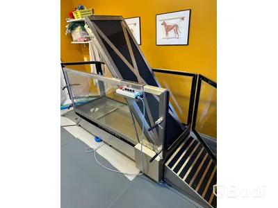 Smartwalker Pro
