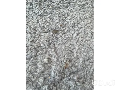 Lamino fåtölj, swedese möbler