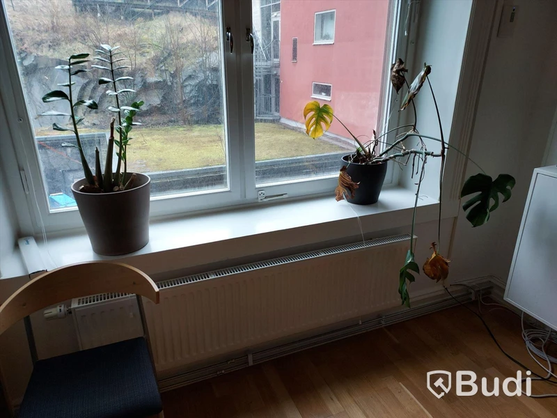 Kontorsrum, projektor, projektorduk, 4 st Dellskärmar, hela rummet