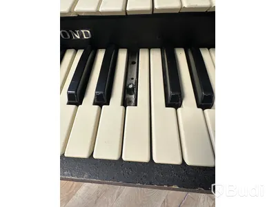 Orgel - Hammond Porta-B