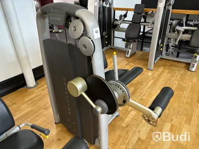 Leg Extension, TechnoGym
