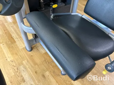 Leg Extension, TechnoGym