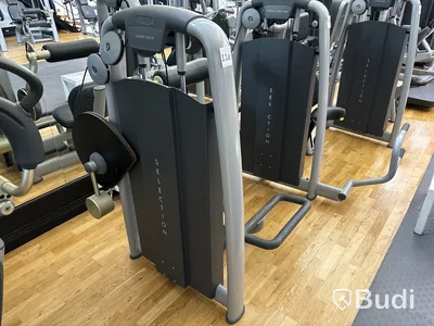 Lower Back, TechnoGym
