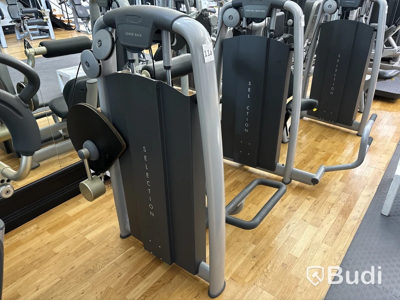 Lower Back, TechnoGym
