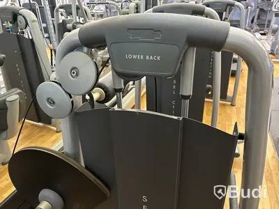 Lower Back, TechnoGym
