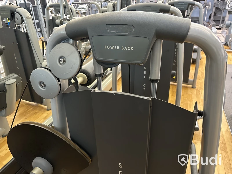 Lower Back, TechnoGym