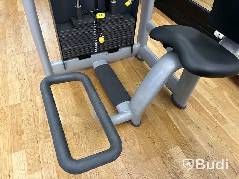 Lower Back, TechnoGym