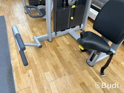 Vertical Traction, TechnoGym