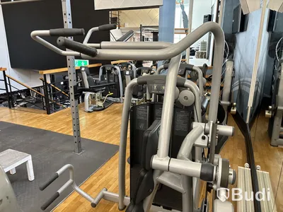 Vertical Traction, TechnoGym