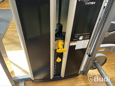 Eagle Chest Press, Cybex