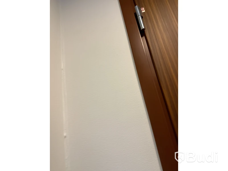 Spegel