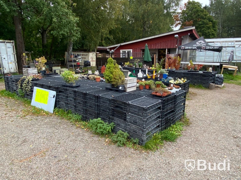 Plastbackar för blommor (40x60 cm) - ca 500 st