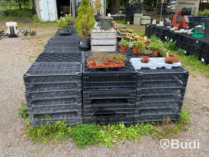 Plastbackar för blommor (40x60 cm) - ca 500 st