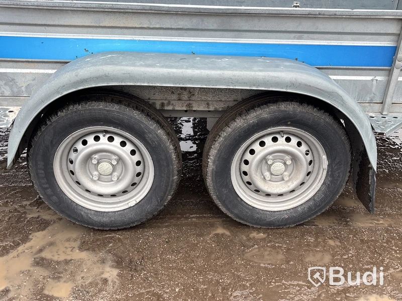Bromsat boggiesläp Tiki CP300-DRB  | 2100 kg | 2019