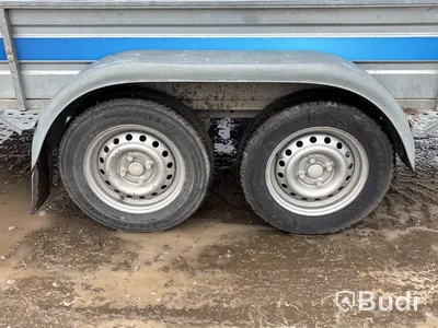 Bromsat boggiesläp Tiki CP300-DRB  | 2100 kg | 2019