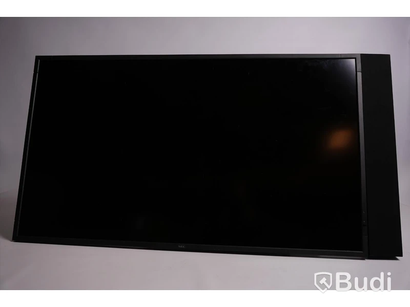 Monitor med högtalare - Nec Multisync V552.