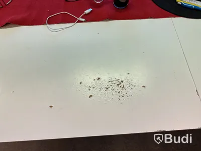 Konferensbord