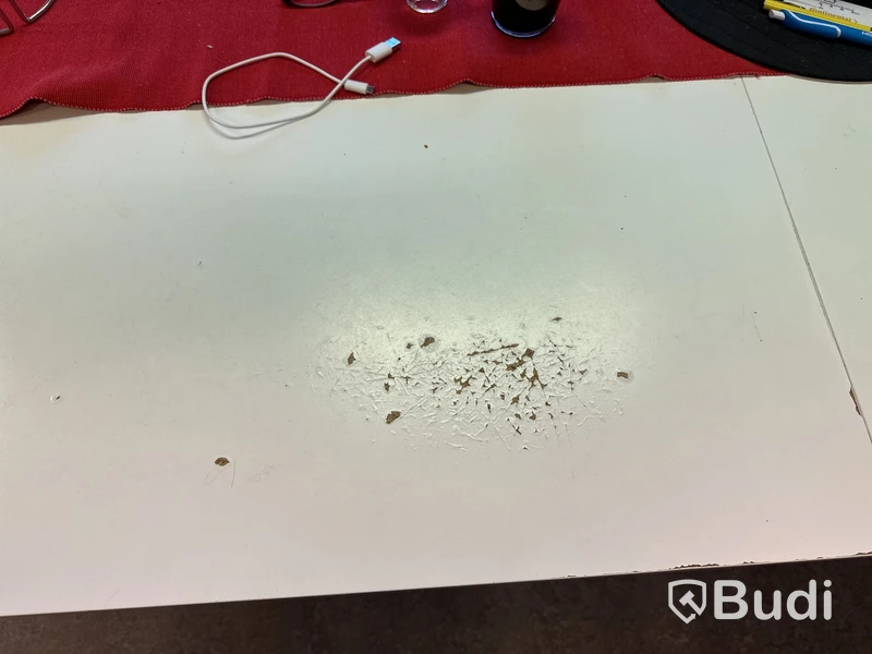 Konferensbord
