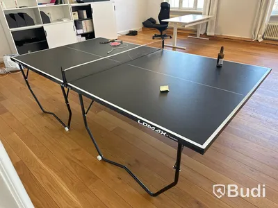 Pingisbord med trasigt nät, LOMAX