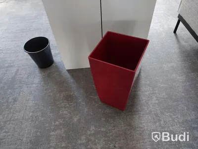 Blomkrukor (växter)