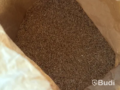 Parti öppnade säckar malt
