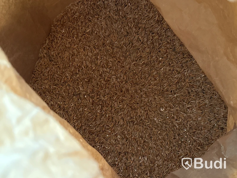 Parti öppnade säckar malt