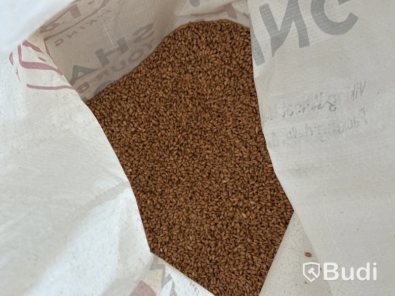 Parti öppnade säckar malt