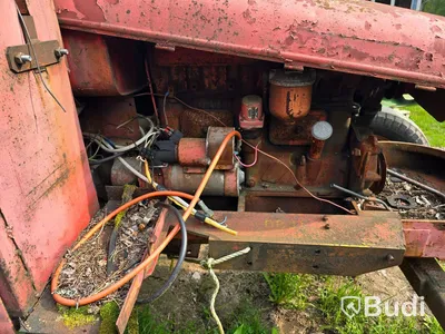 Traktor David Brown 1955