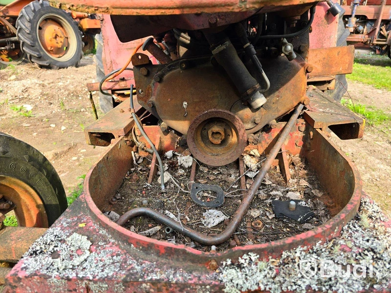 Traktor David Brown 1955