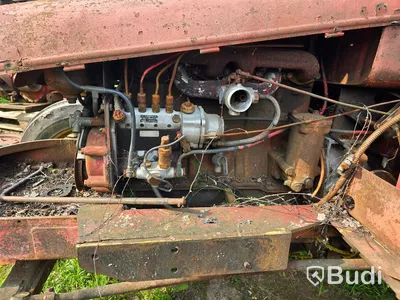 Traktor David Brown 1955