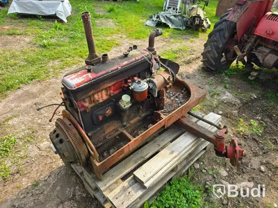 Traktor David Brown 1955