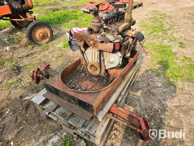 Traktor David Brown 1955