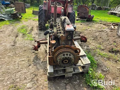 Traktor David Brown 1955
